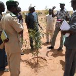 Mission conjointe de suivi des plantations du projet Reverdir Mopti par la DNEF, le SIFOR et Sahel Eco